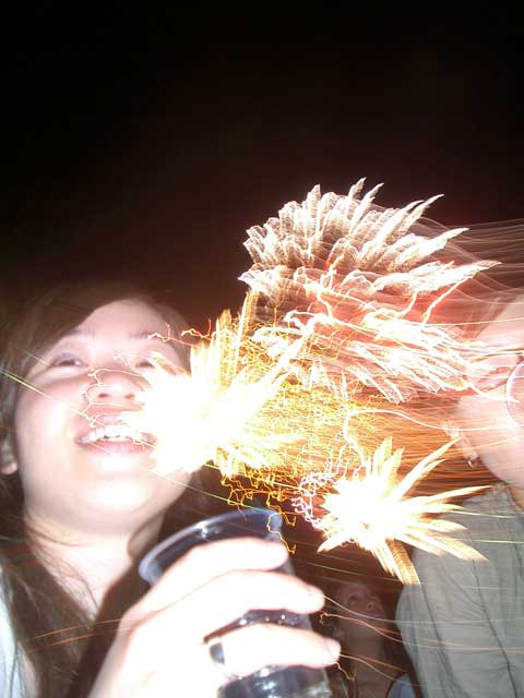 Koshigaya Fireworks Festival - July 2004