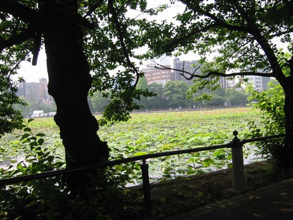 My Trip to Japan in June 2002