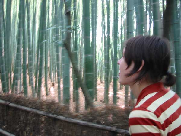 My Trip to Japan in June 2002